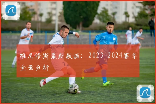 维尼修斯最新数据：2023-2024赛季全面分析