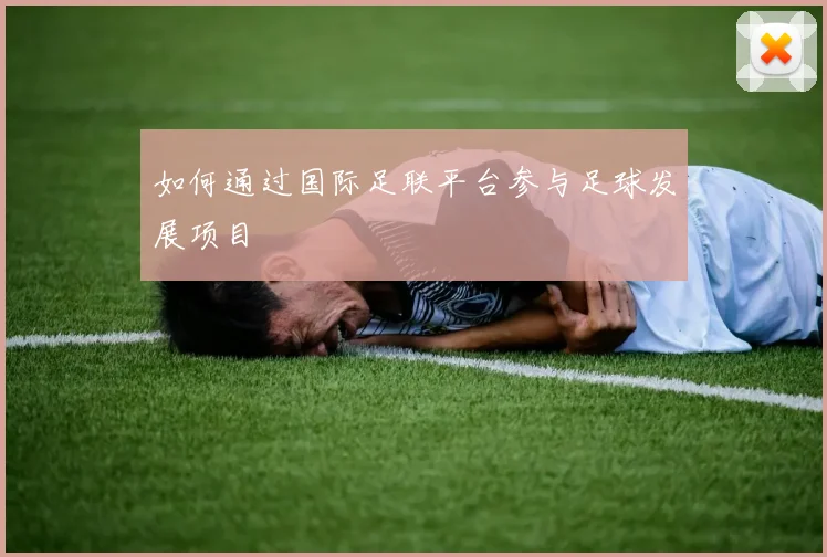如何通过国际足联平台参与足球发展项目