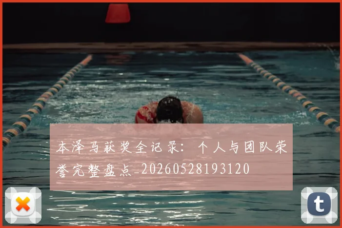 本泽马获奖全记录：个人与团队荣誉完整盘点_20260528193120