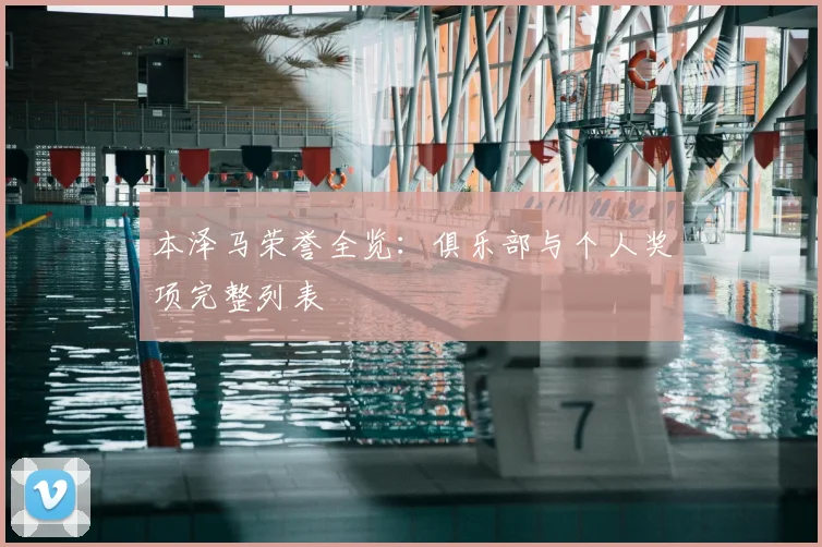 本泽马荣誉全览：俱乐部与个人奖项完整列表